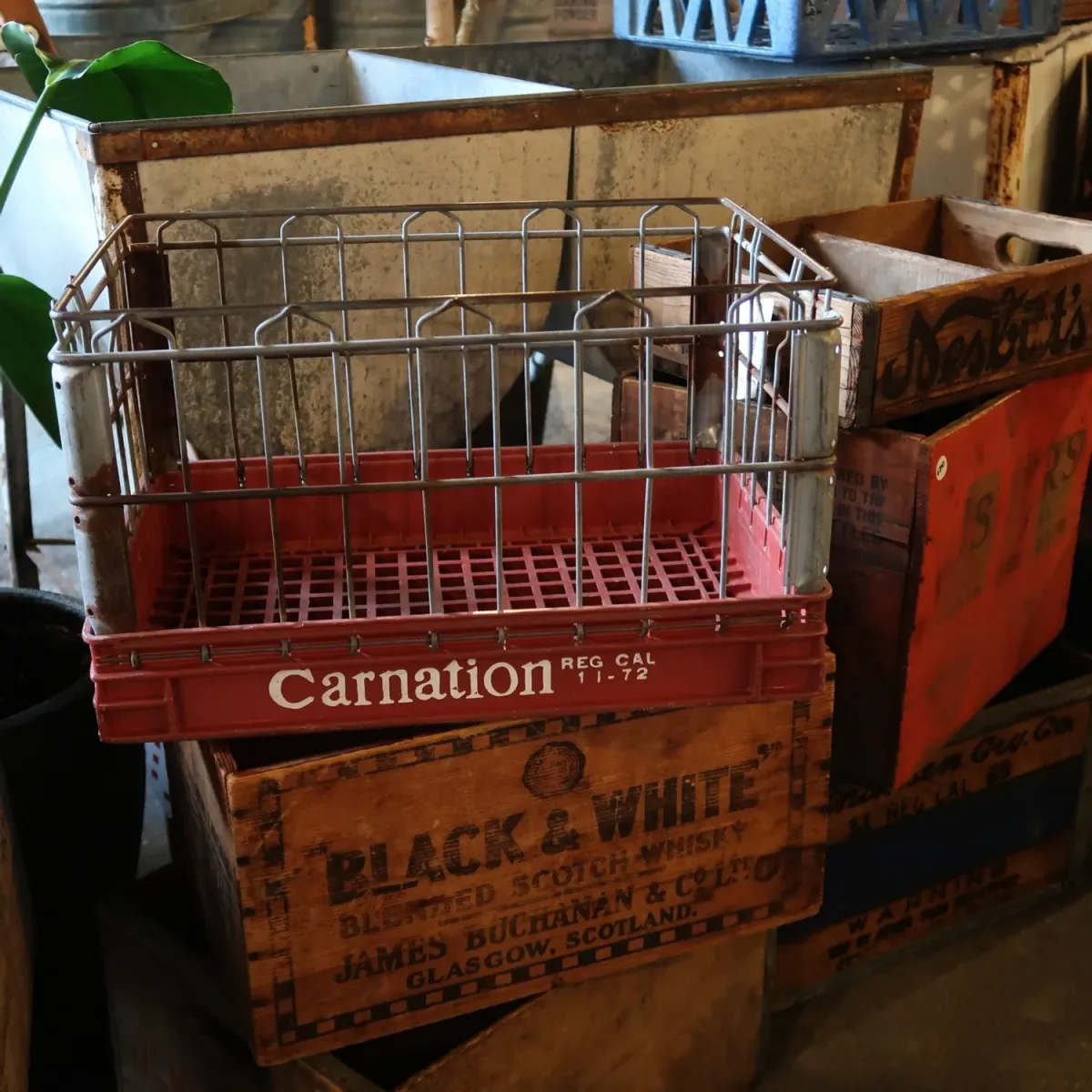 CARNATION ビンテージ ワイヤーバスケット