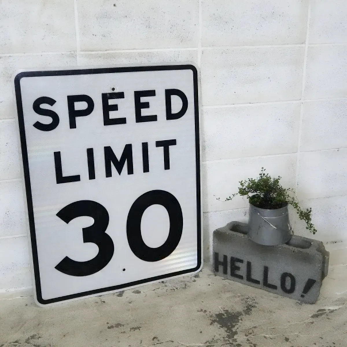 ロードサイン SPEED LIMIT 30