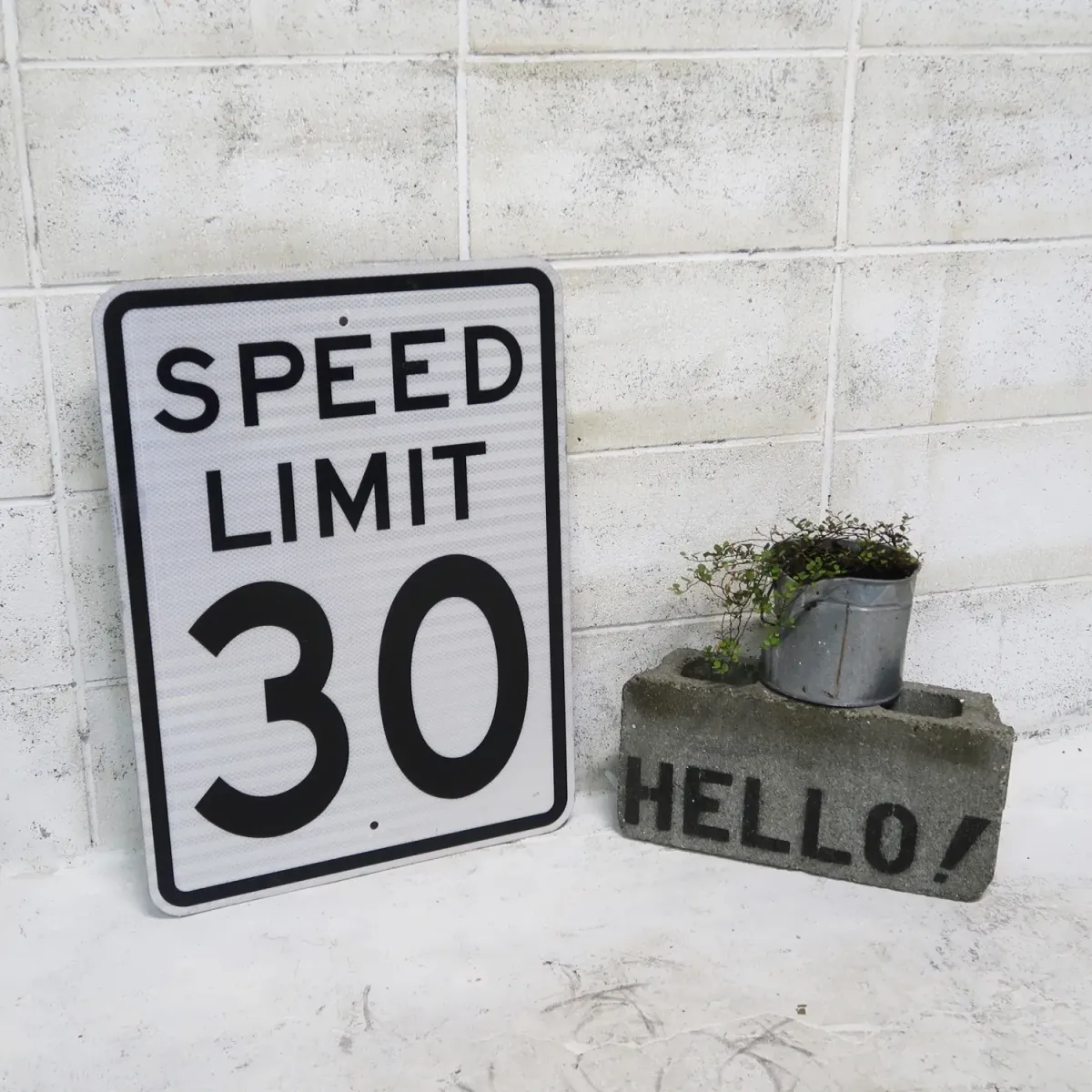 ロードサイン SPEED LIMIT 30