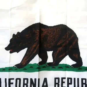 CALIFORNIA REPUBLIC フラッグ