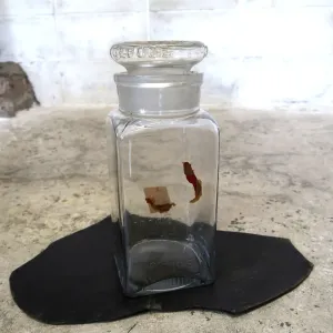 ANTOINE DROPS ビンテージ ガラスジャー