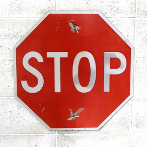 STOP ロードサイン