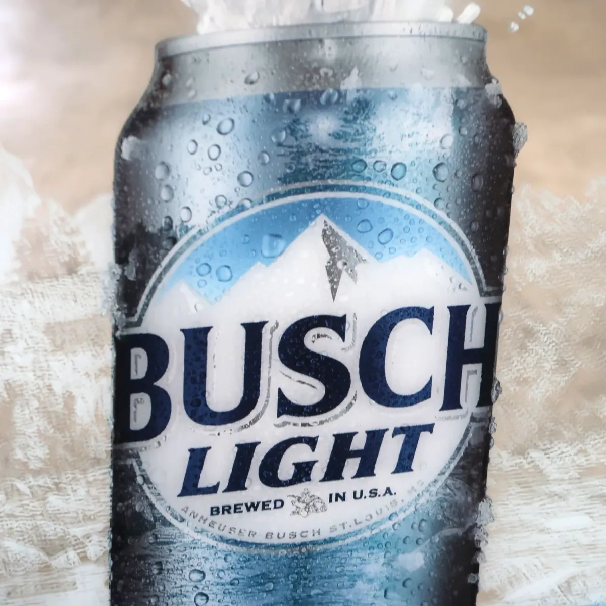 BUSCH LIGHT パブミラー