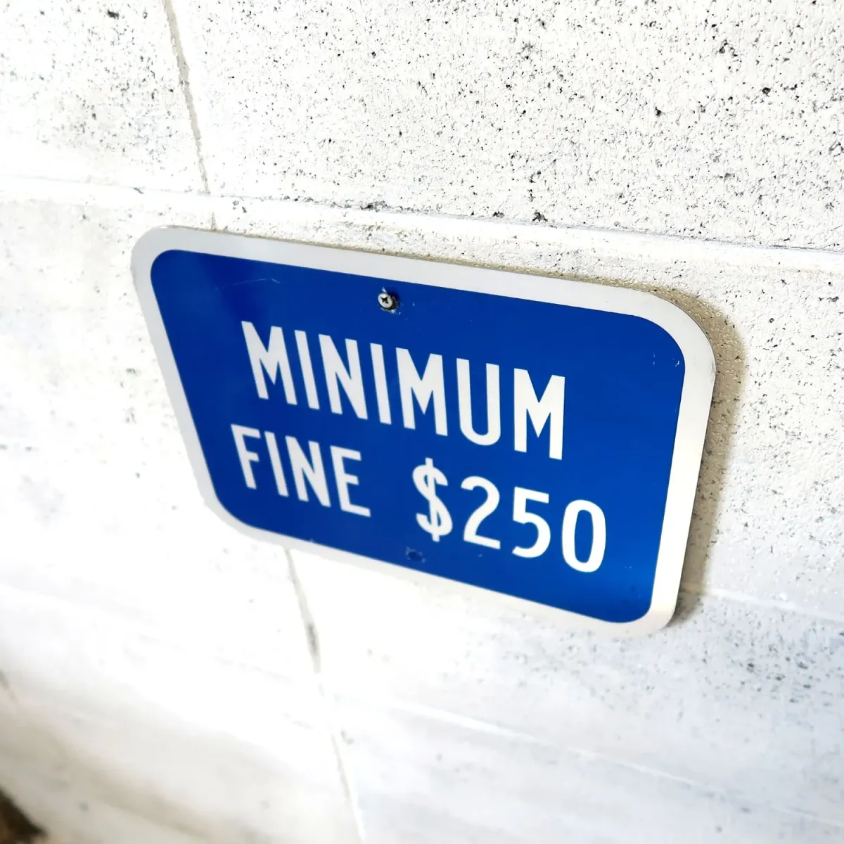 MINIMUM FINE $250 ロードサイン