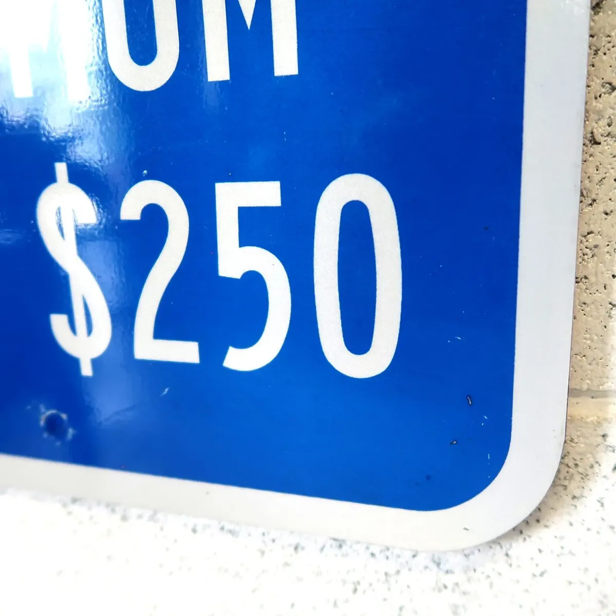 MINIMUM FINE $250 ロードサイン