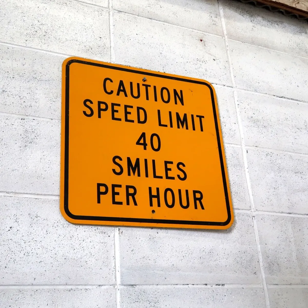 CAUTION SPEED LIMIT メタルサイン