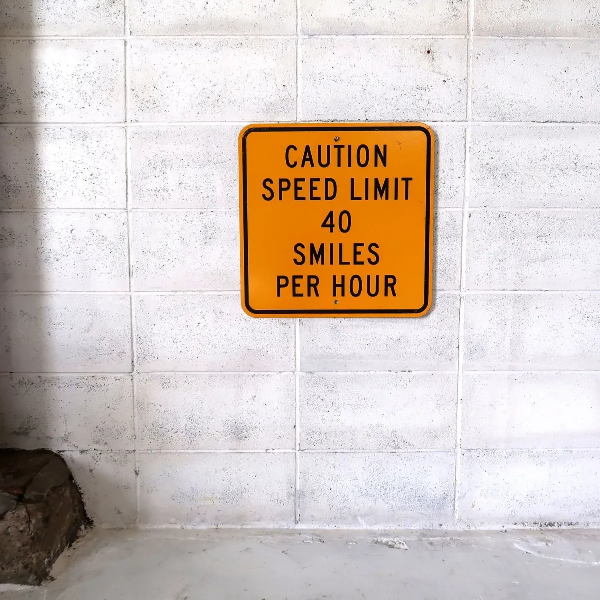 CAUTION SPEED LIMIT メタルサイン