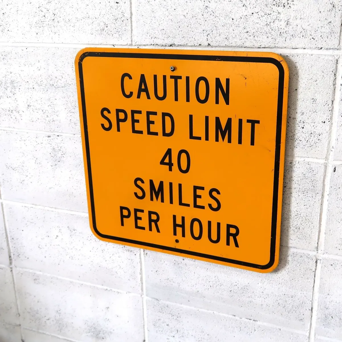 CAUTION SPEED LIMIT メタルサイン