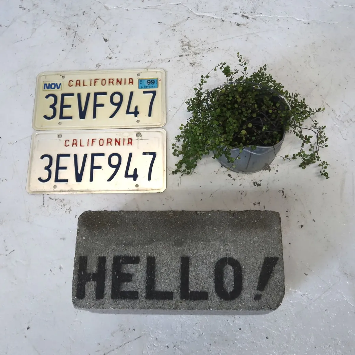 CALIFORNIA ビンテージ ナンバープレート ペア