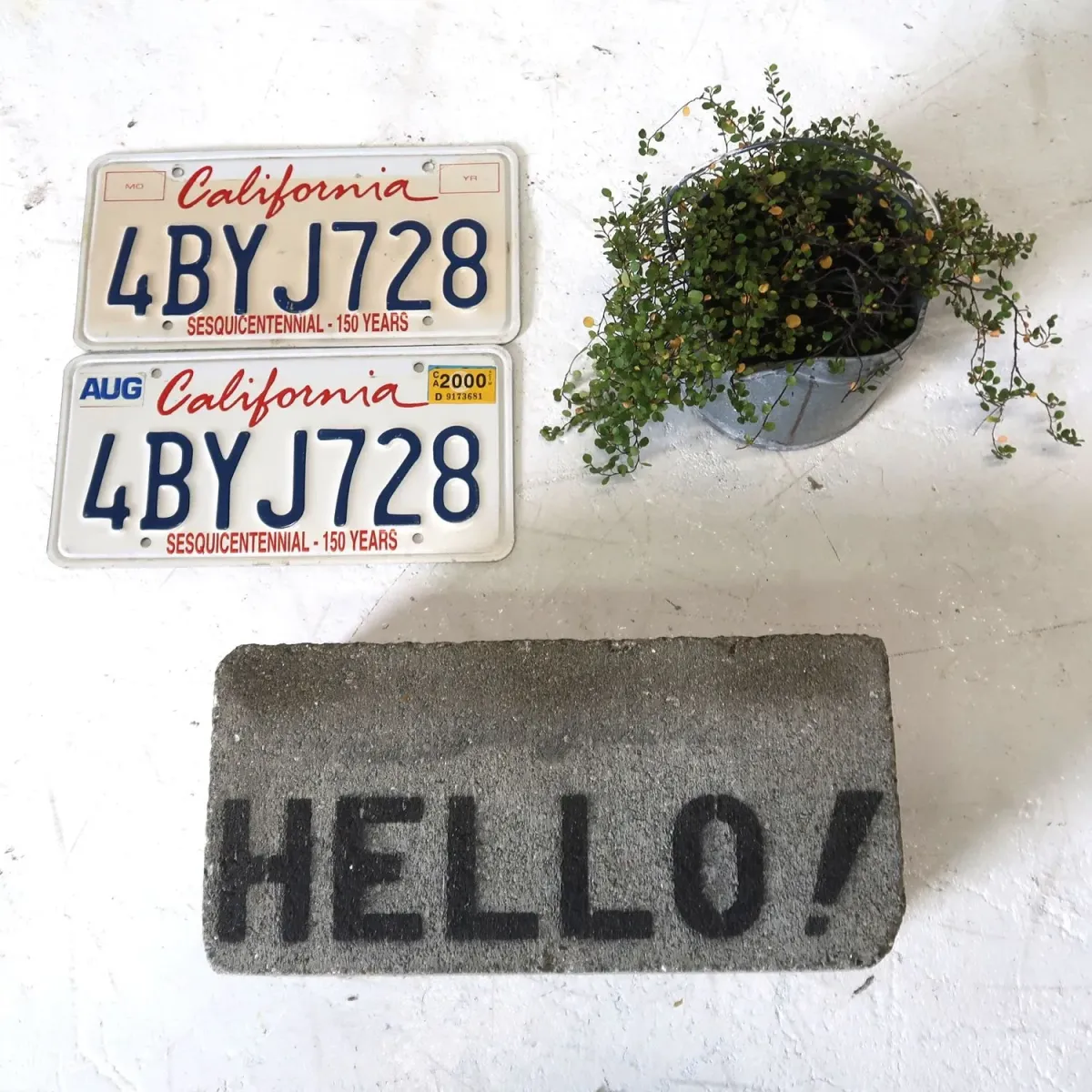 CALIFORNIA USED ナンバープレート ペア