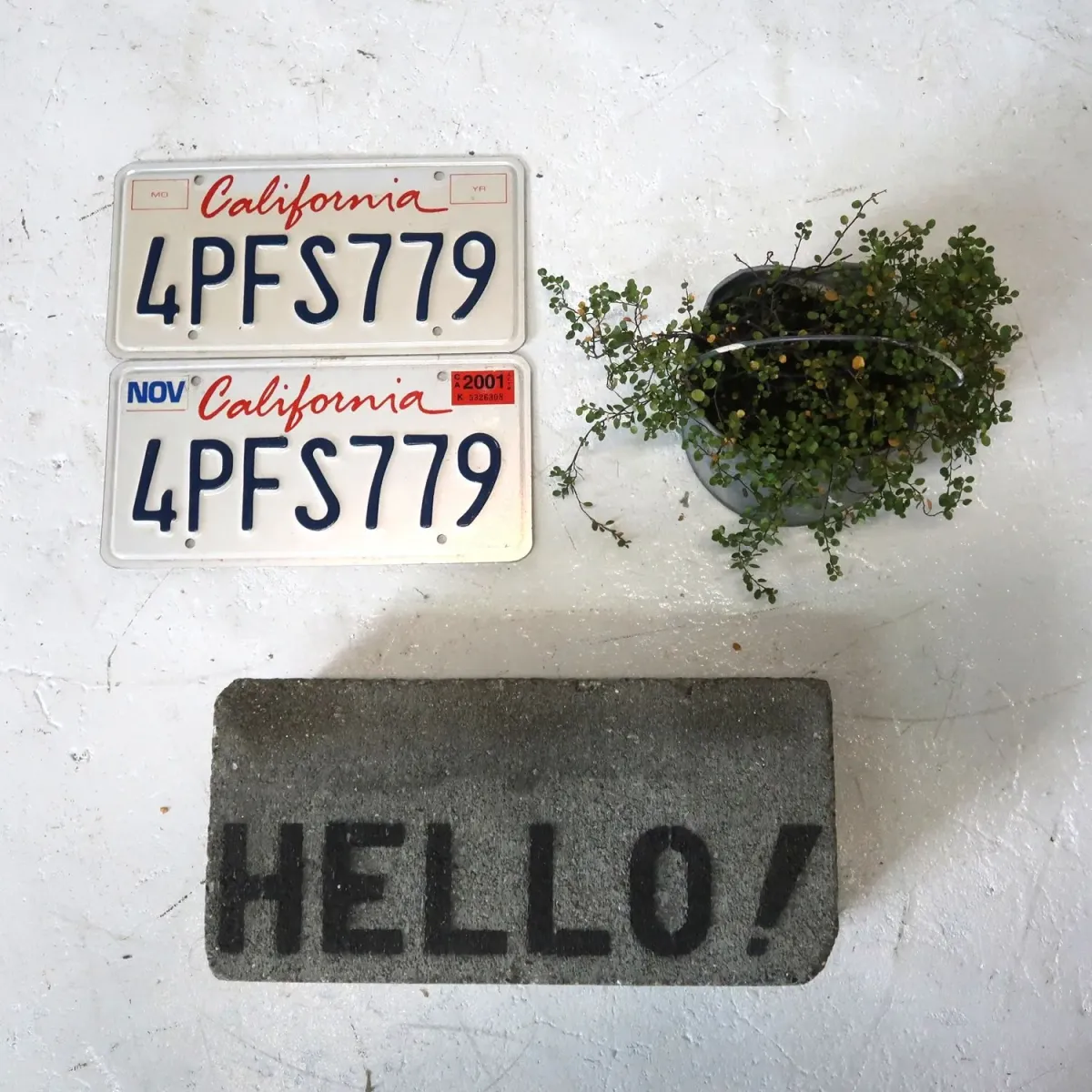 CALIFORNIA USED ナンバープレート ペア