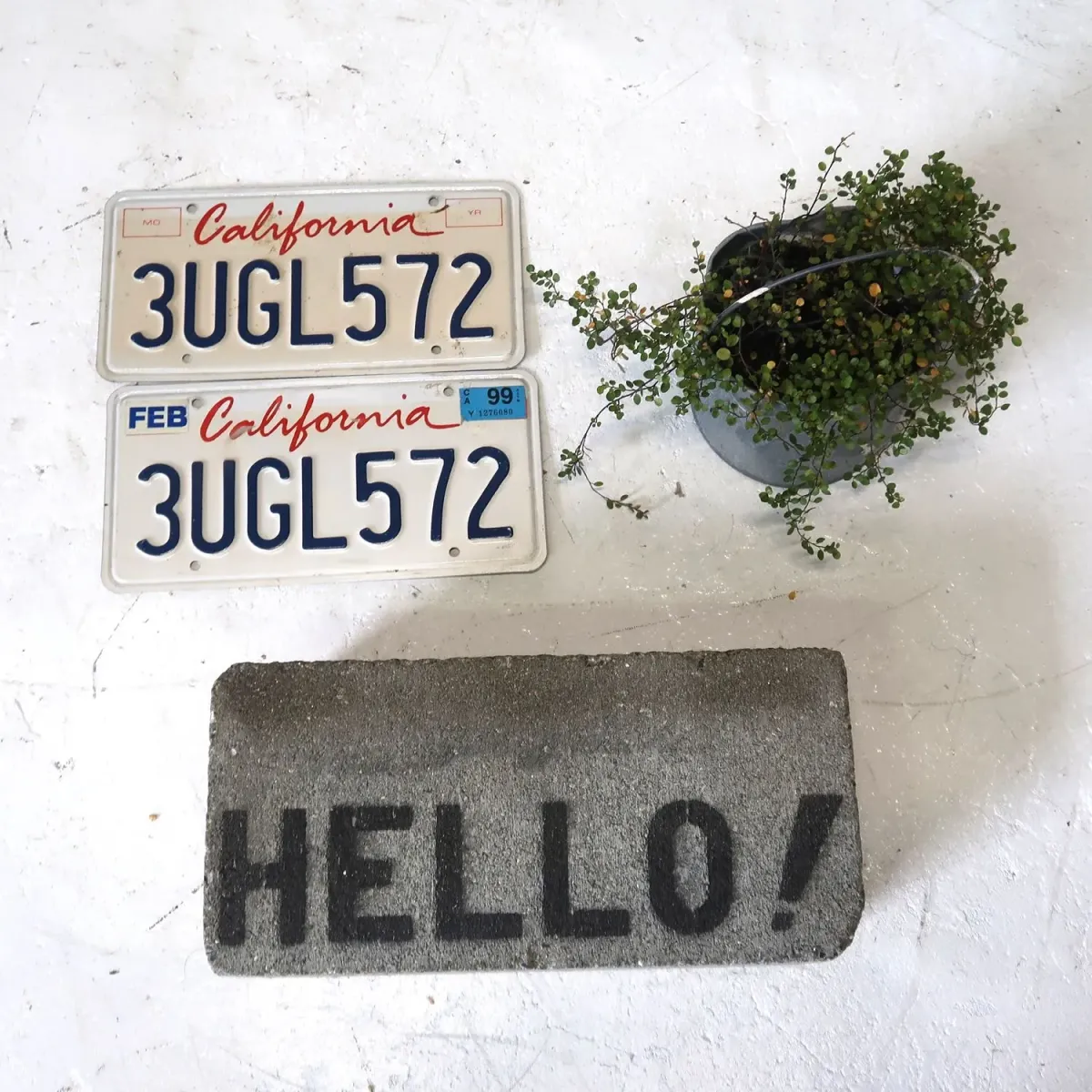 CALIFORNIA USED ナンバープレート ペア