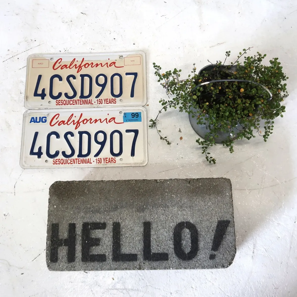 CALIFORNIA USED ナンバープレート ペア