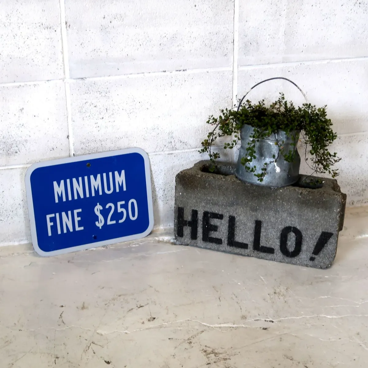 MINIMUM FINE $250 ロードサイン
