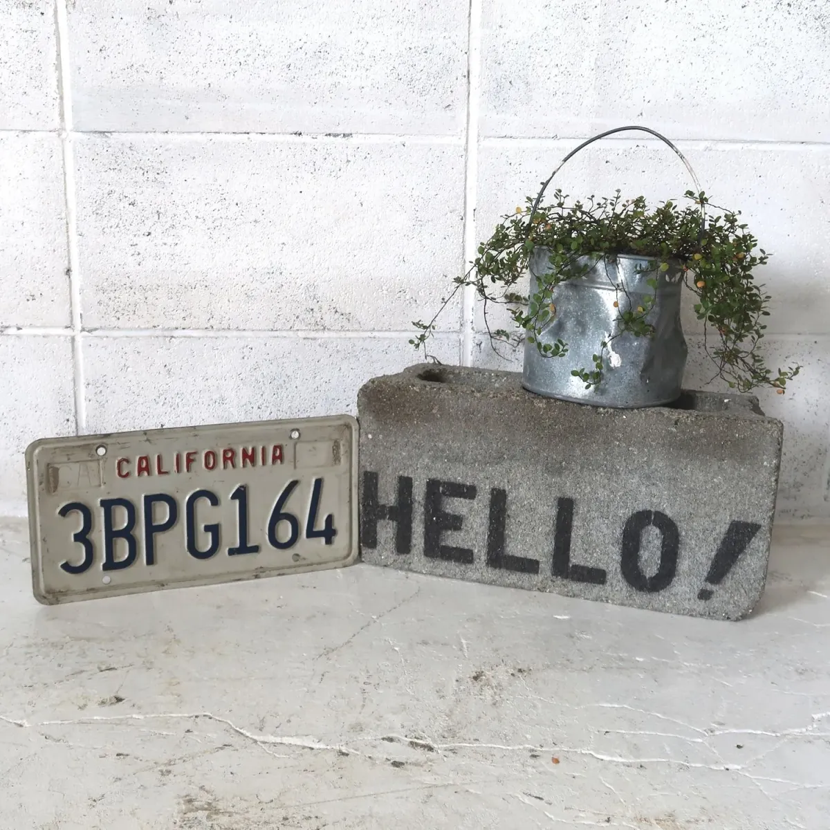 CALIFORNIA USEDナンバープレート