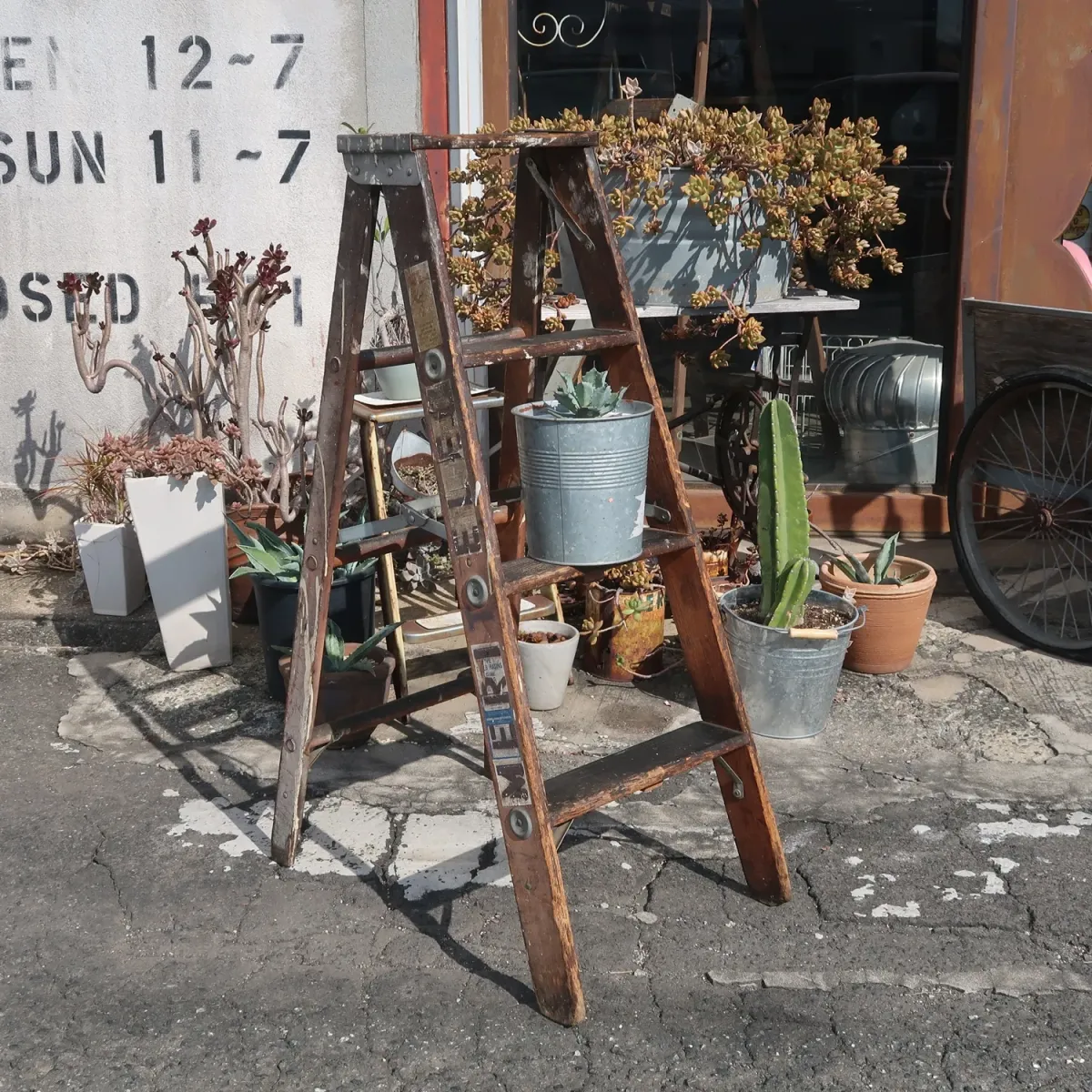 ビンテージ ウッドラダー