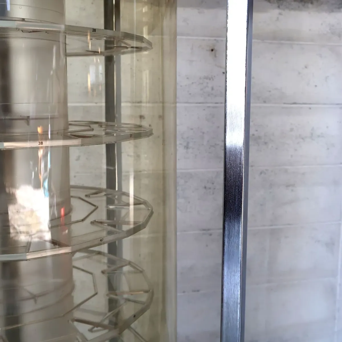 TIMEX ライトアップ 回転ショーケース