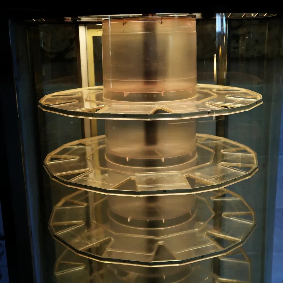 TIMEX ライトアップ 回転ショーケース