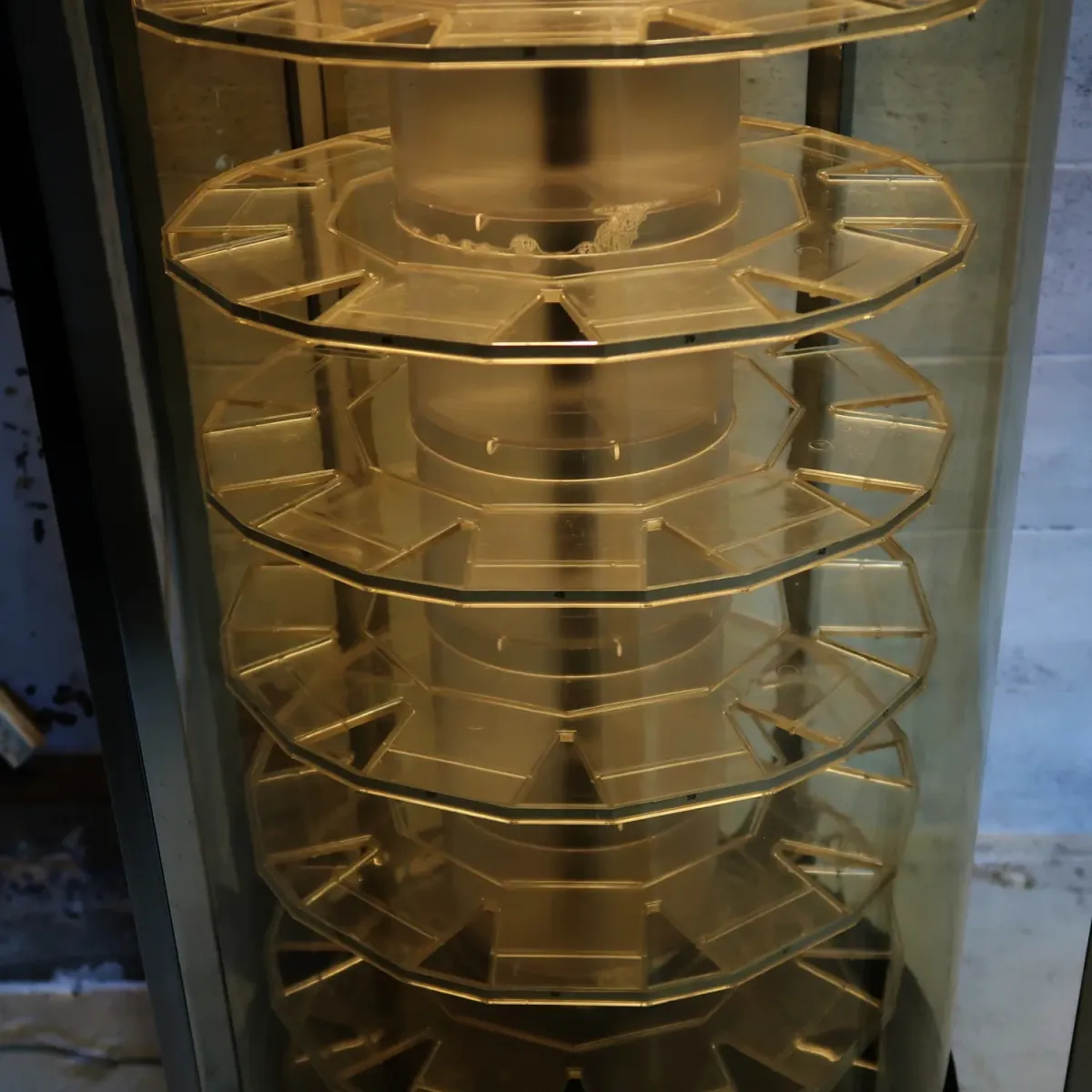 TIMEX ライトアップ 回転ショーケース