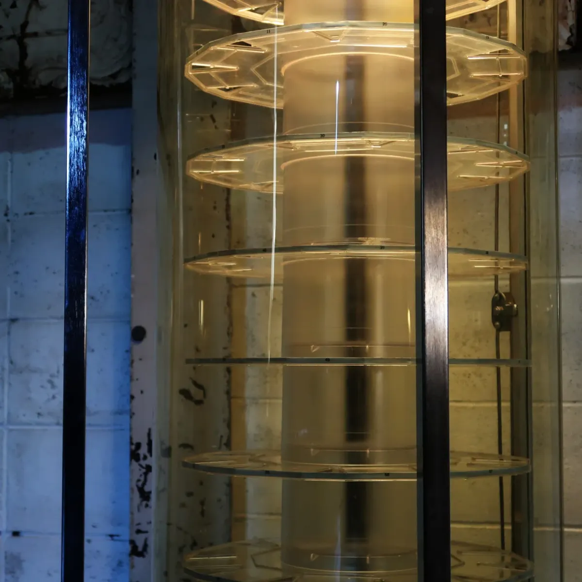 TIMEX ライトアップ 回転ショーケース