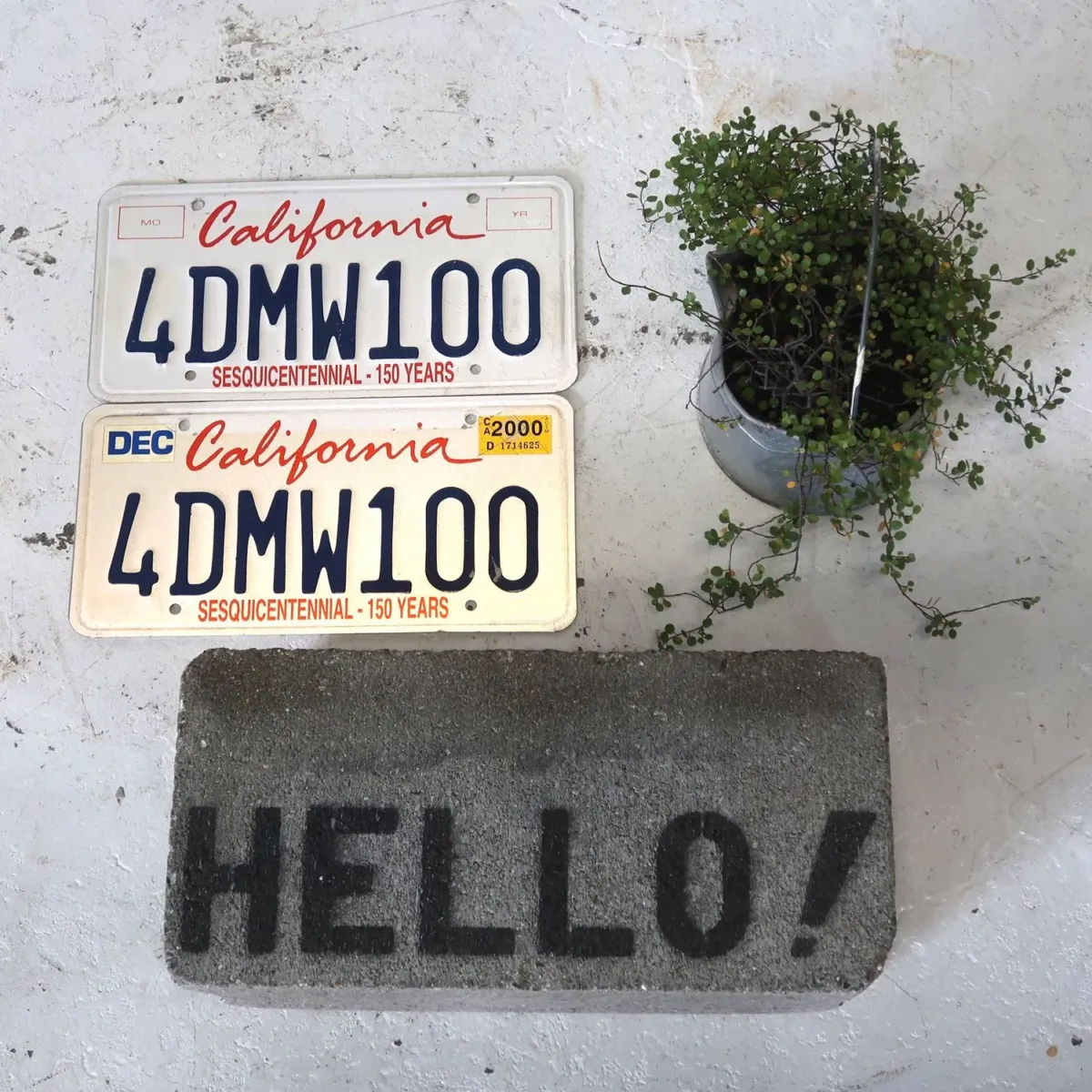 CALIFORNIA USED ナンバープレート ペア