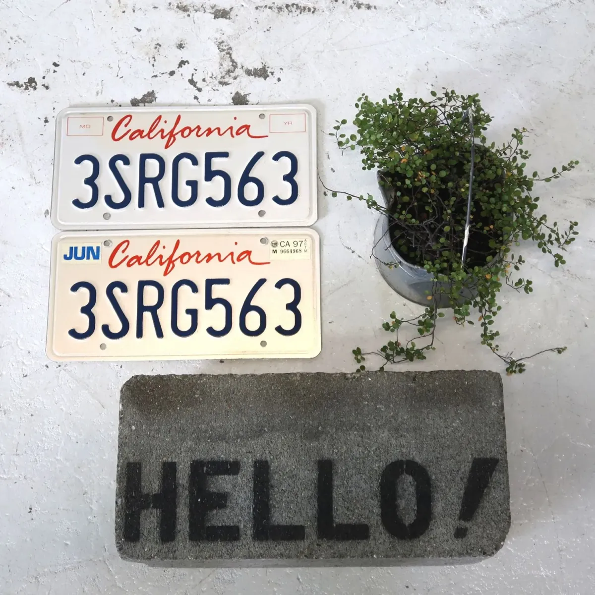 CALIFORNIA USED ナンバープレート ペア