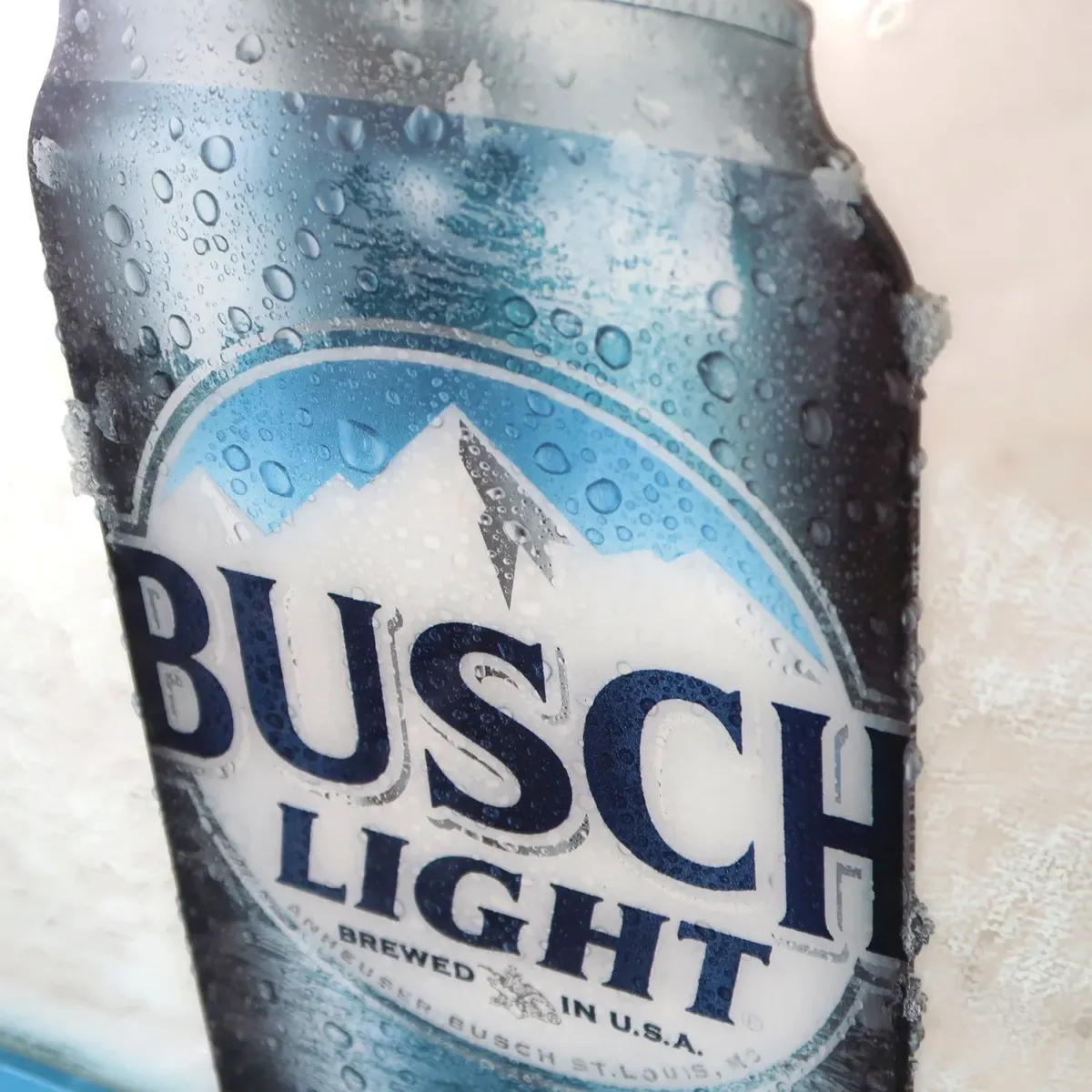 BUSCH LIGHT パブミラー