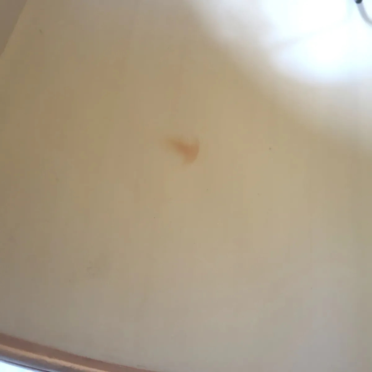 アンティーク ブドウモチーフ テーブルランプ