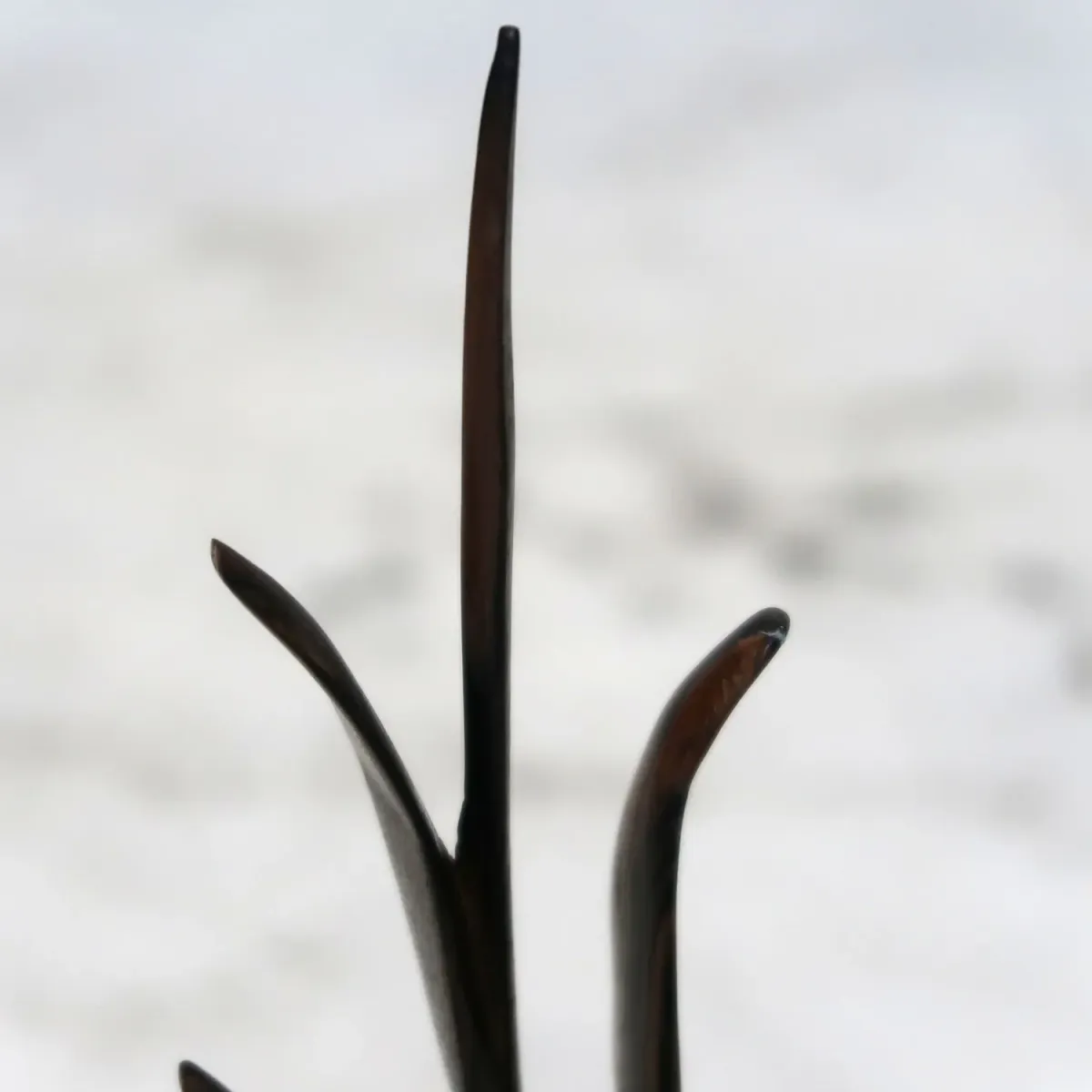 アンティーク ウッドオブジェ ココヤシ