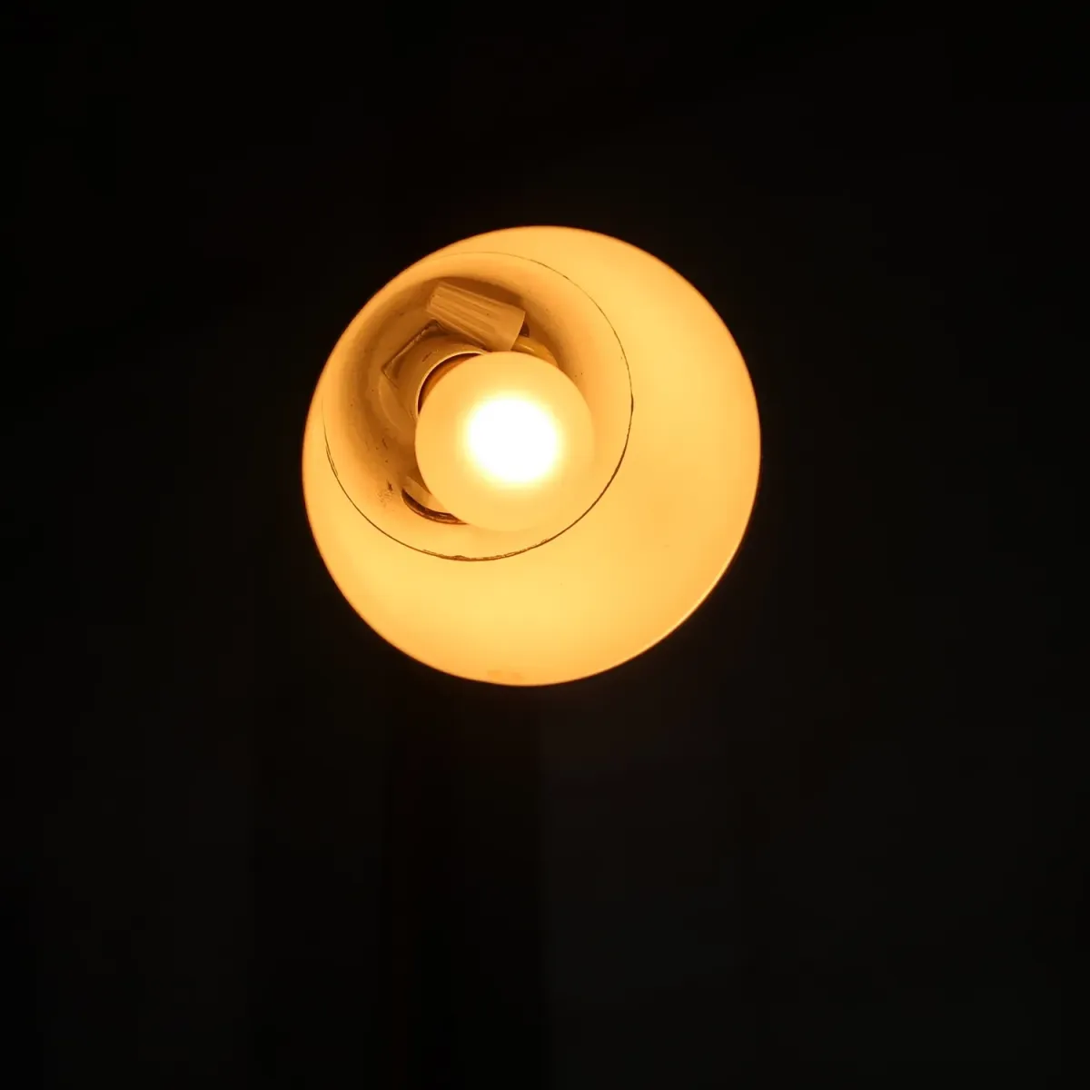 EAGLE ビンテージ ポータブル デスクランプ グースネック