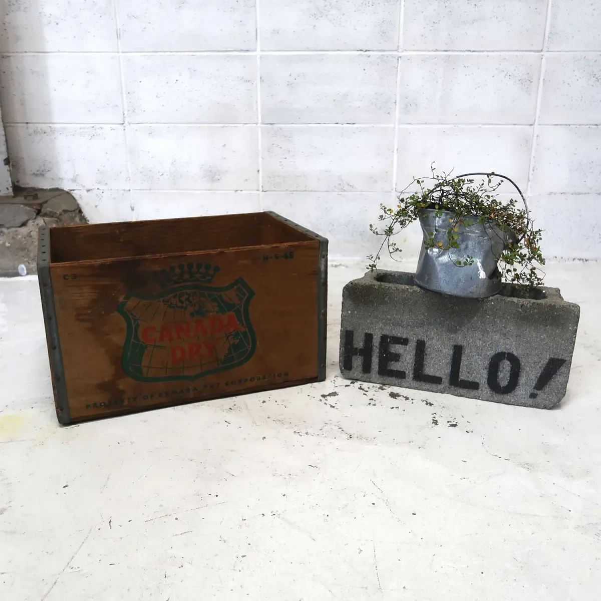 CANADA DRY ビンテージ ウッドボックス