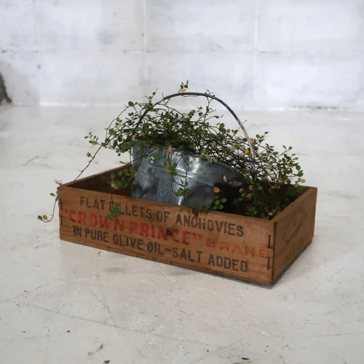 CROWN PRINCE ビンテージ ウッドボックス