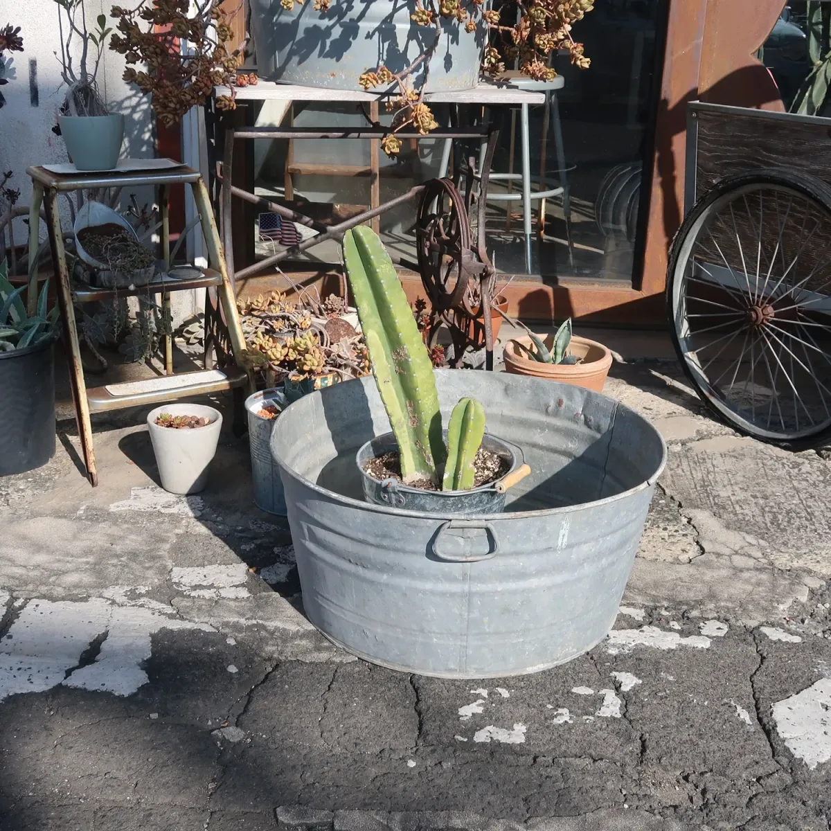 ウォッシュタブ バケツ