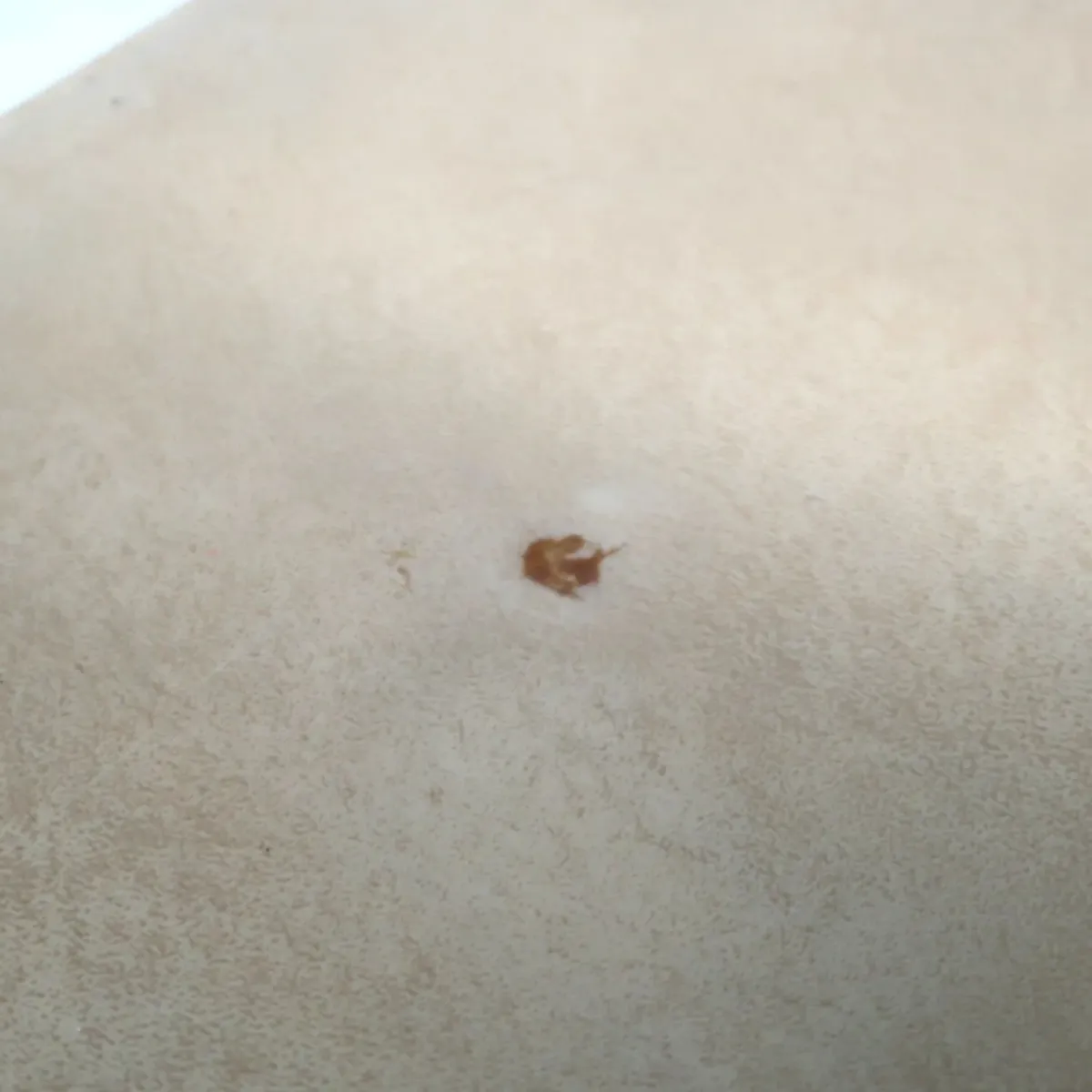 ビンテージ フォールディングスツール