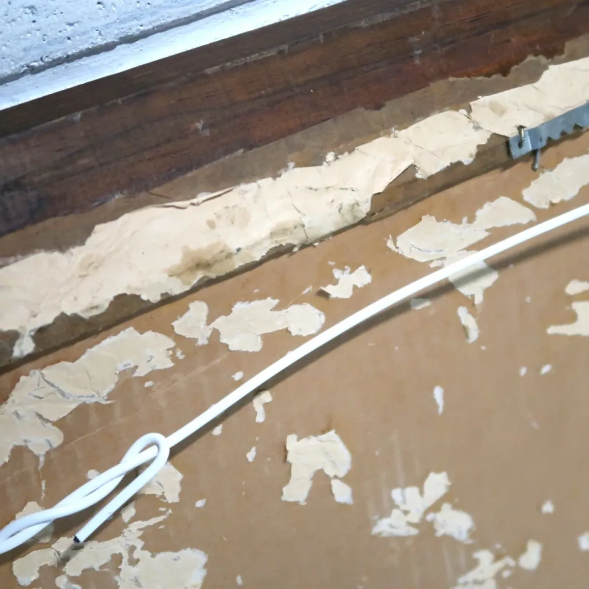 OLYMPIA BEER ビンテージ パブミラー