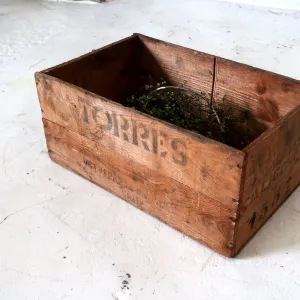 TORRES ビンテージ ウッドボックス