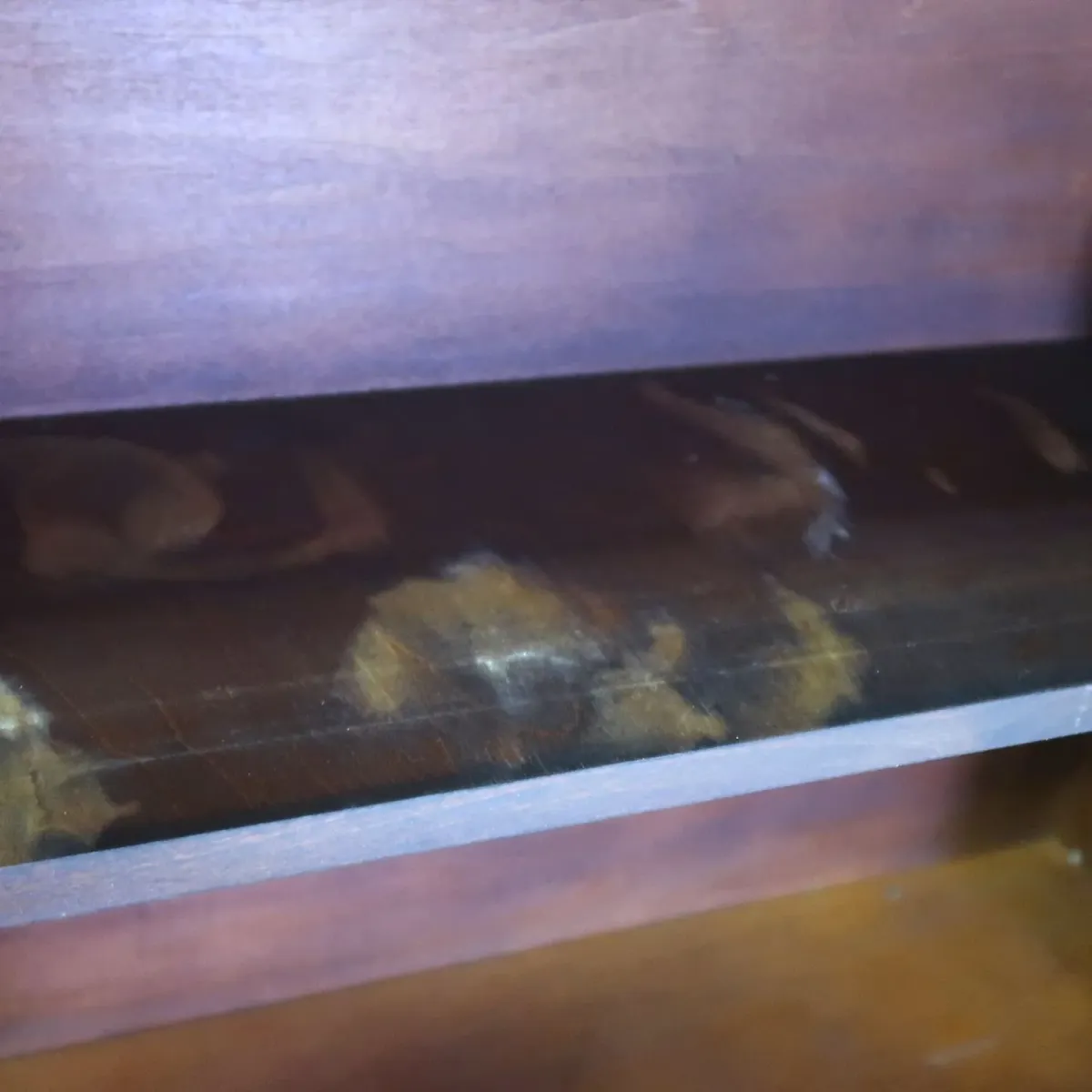 BASSETT FURNITURE アンティーク カップボード