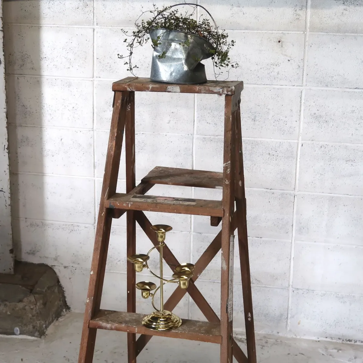 ビンテージ ウッドラダー