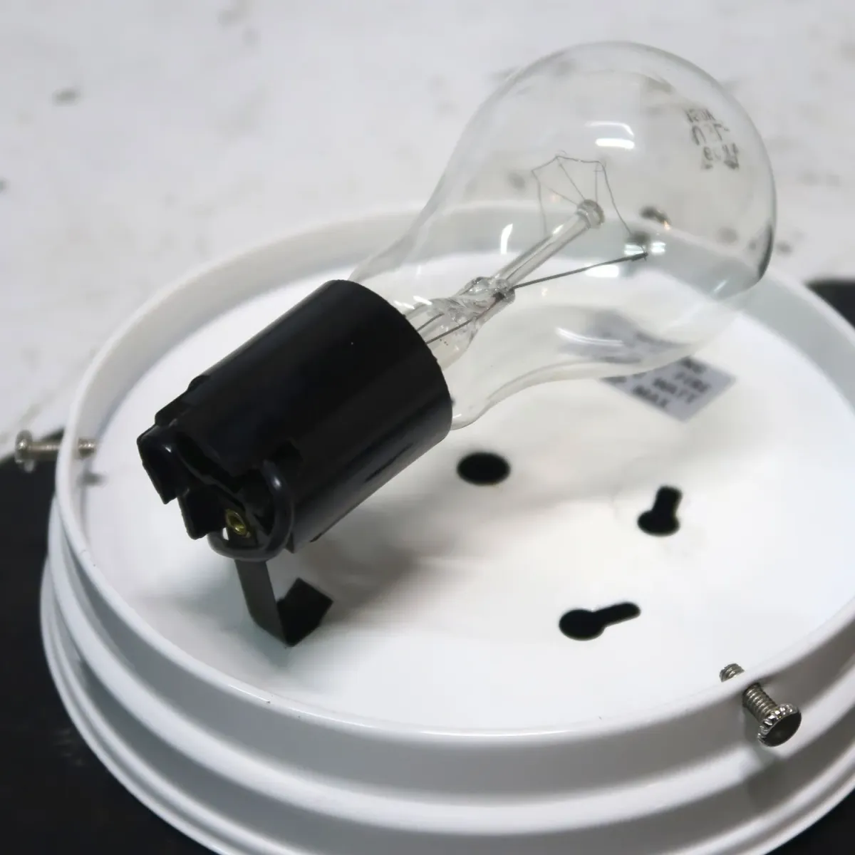 ガラスシェード シーリングランプ