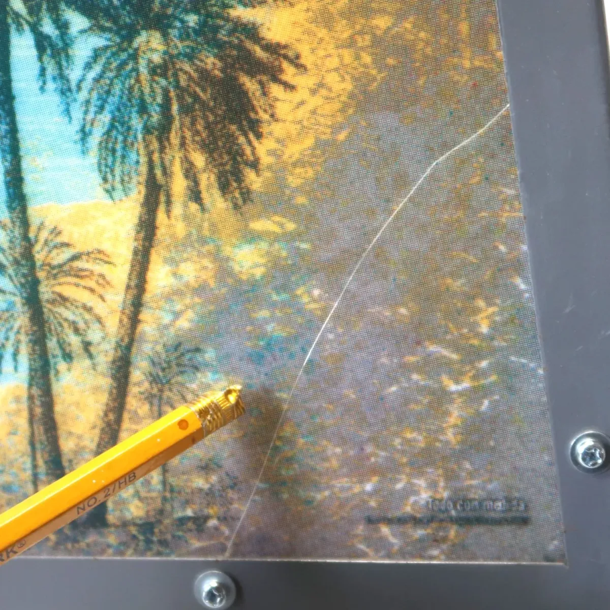 Corona Extra ビンテージ プールランプ