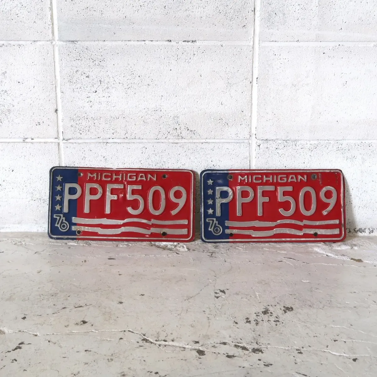MICHIGAN ビンテージ ナンバープレート ペア