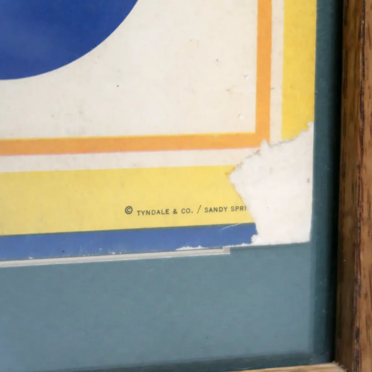 1967 ST. HELENA HIGH ゲームスケジュール 額装 ペプシコーラ