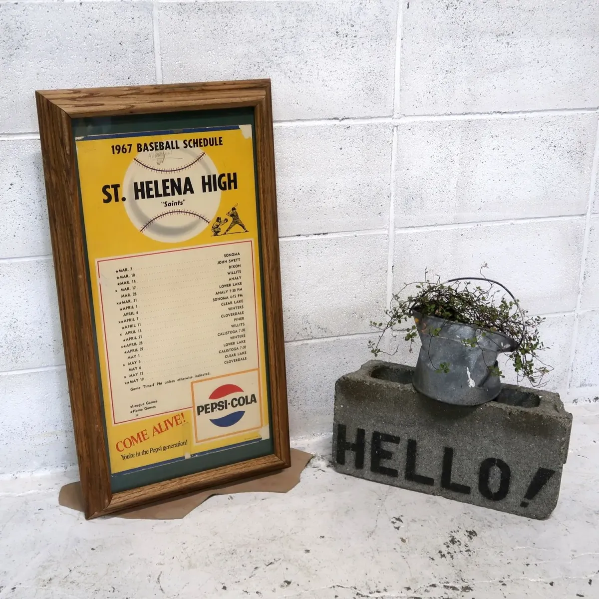 1967 ST. HELENA HIGH ゲームスケジュール 額装 ペプシコーラ