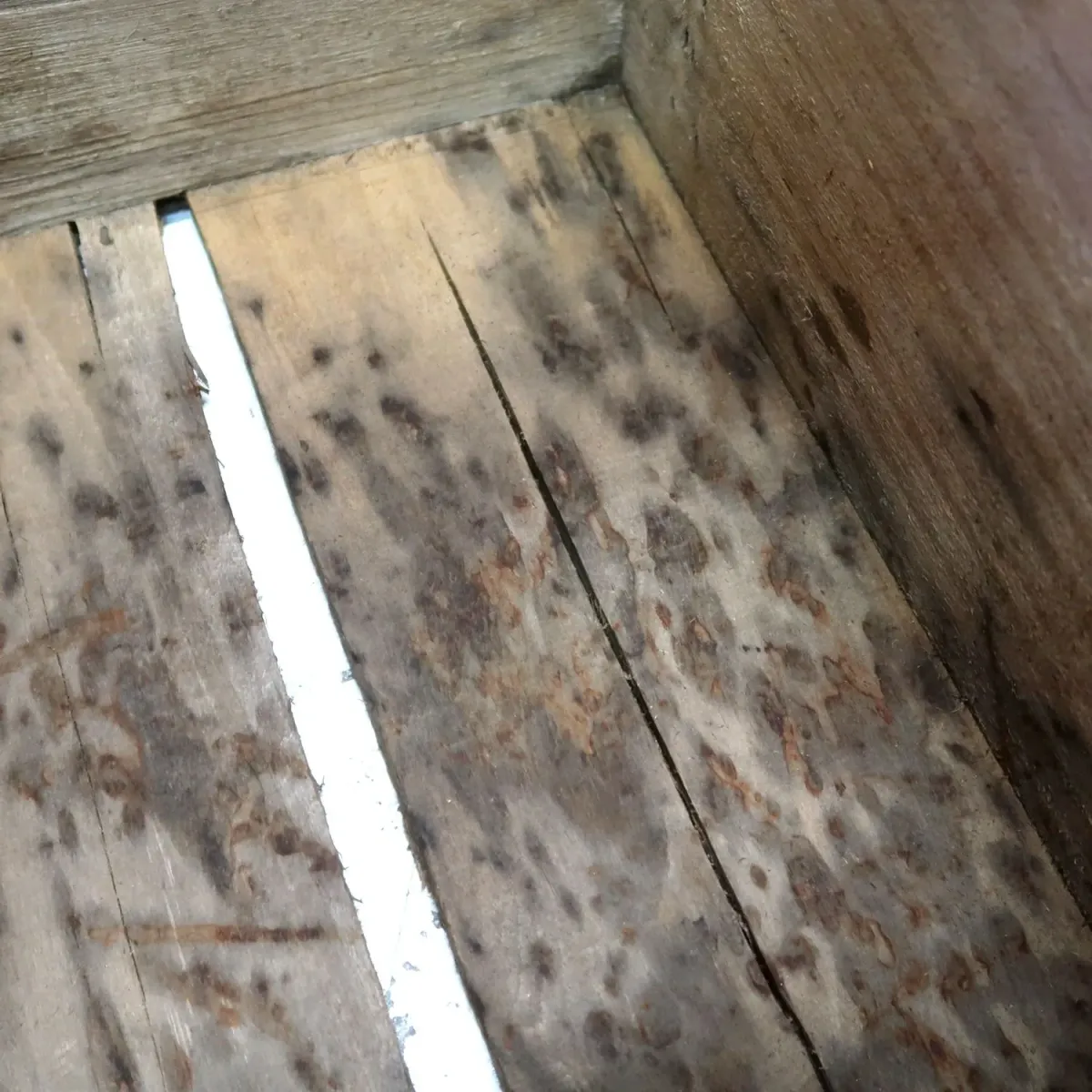 CANADA DRY ビンテージ ウッドボックス