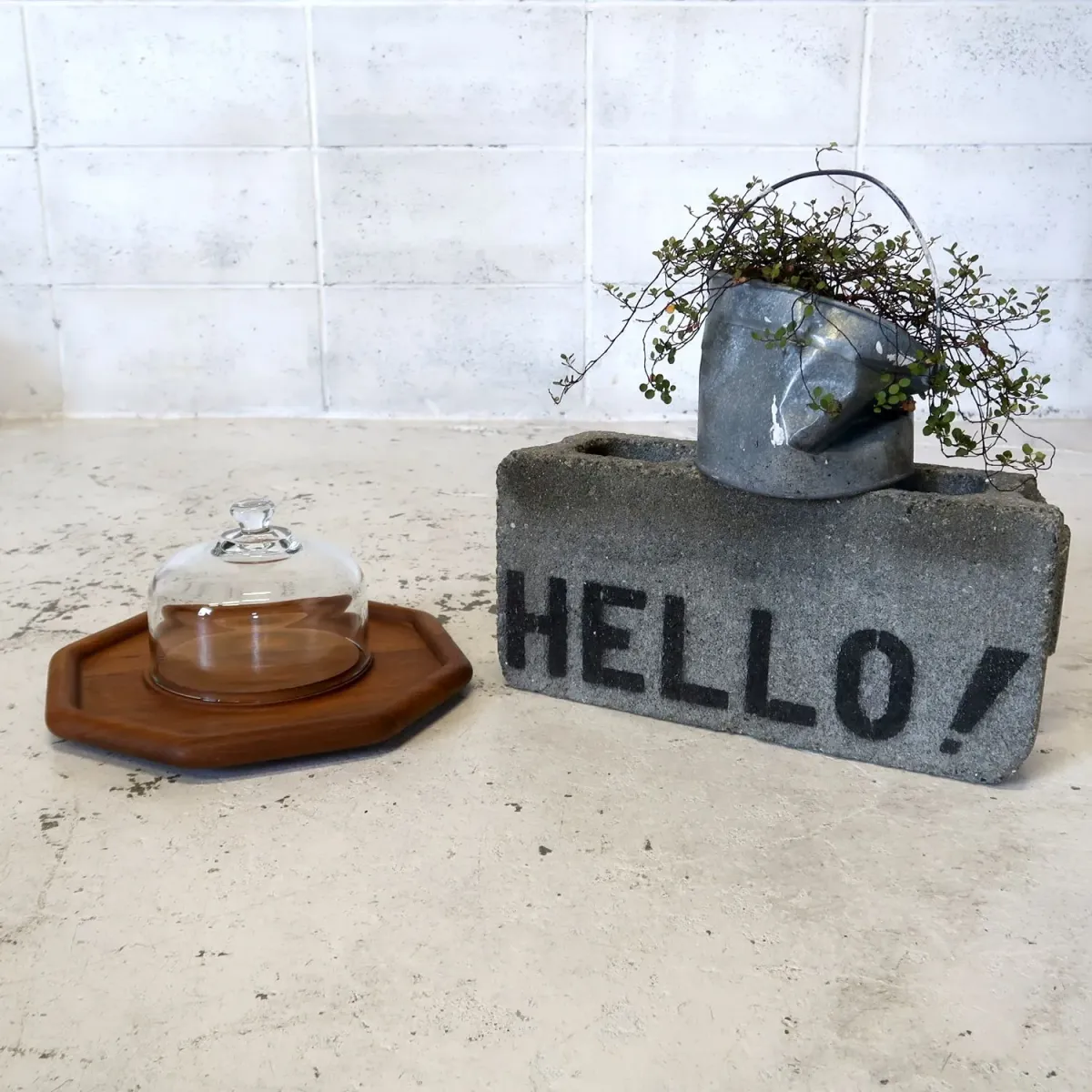 ビンテージ ガラスドーム チークウッド