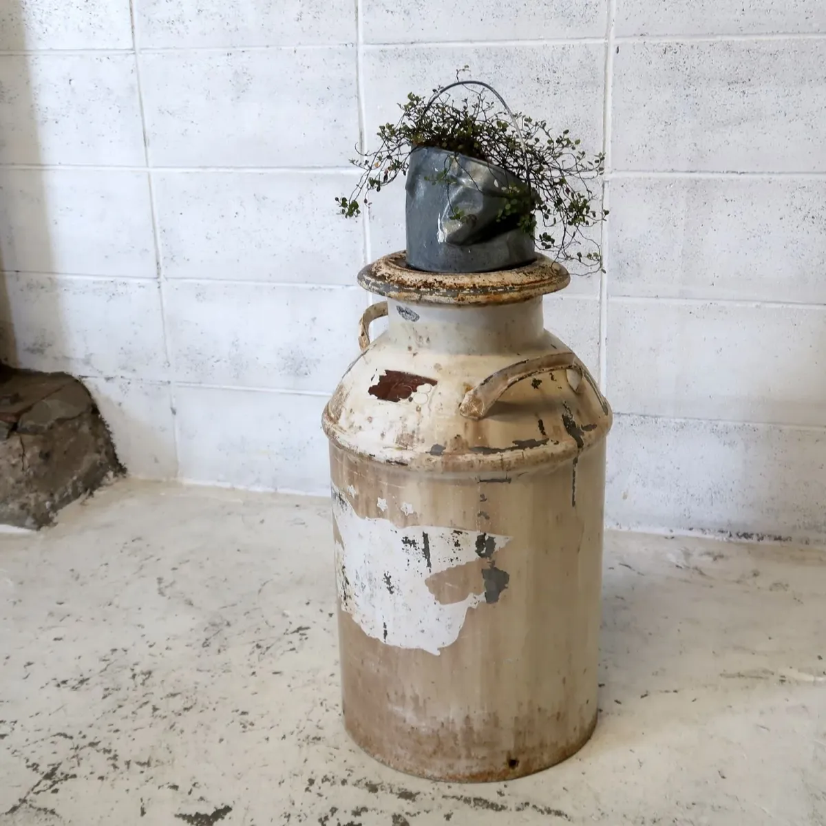 アンティーク ミルク缶