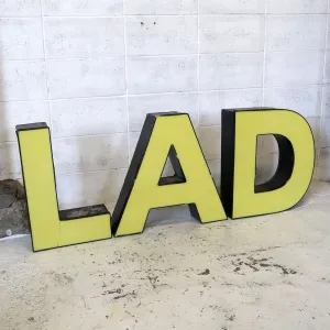 ビンテージ レターサイン 大型 D