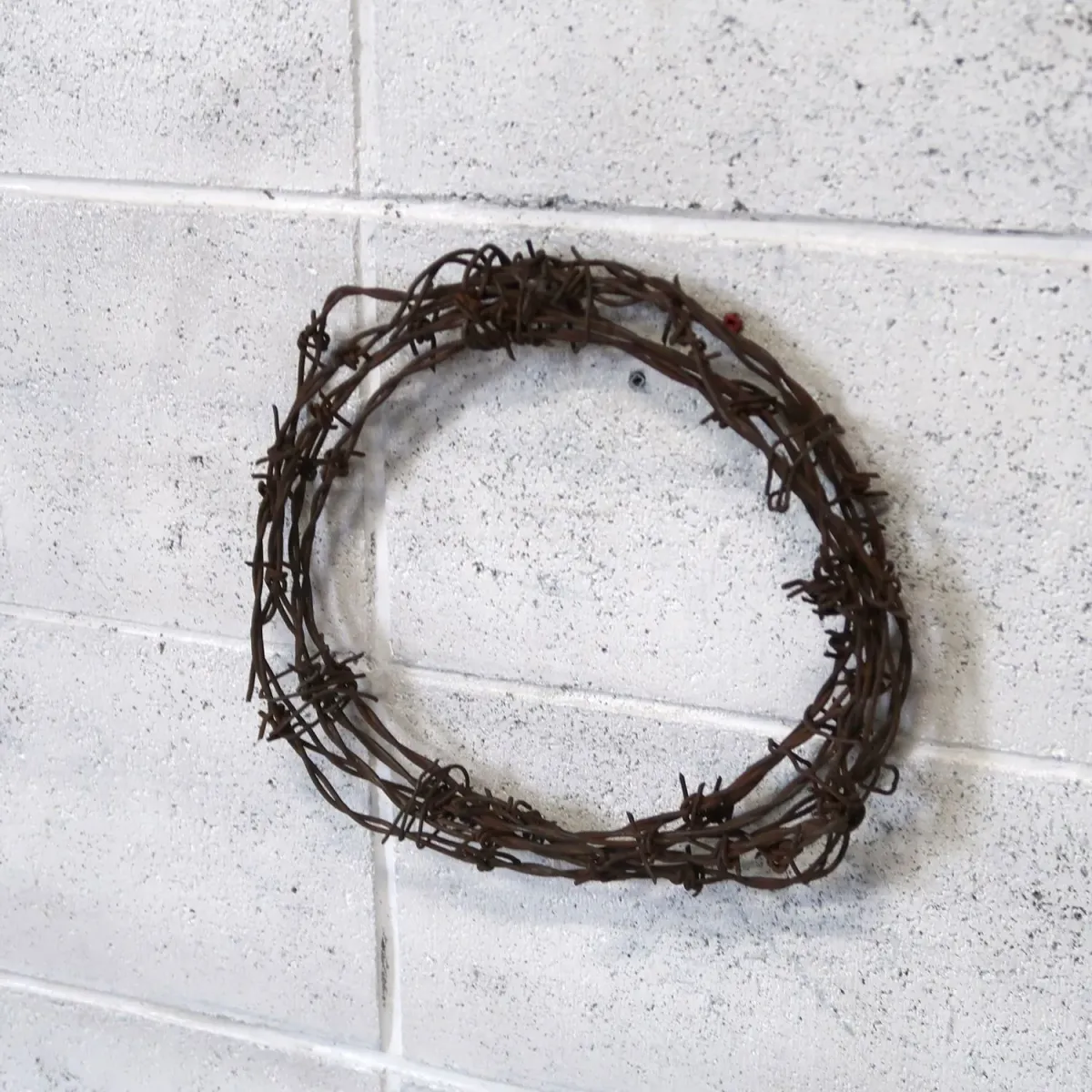 ビンテージ 有刺鉄線