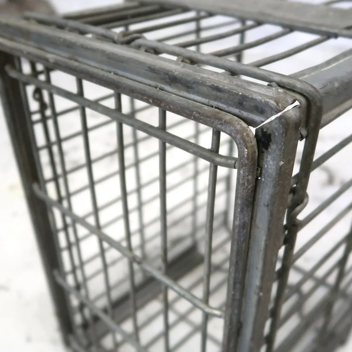 CARNATION ビンテージ ワイヤーバスケット