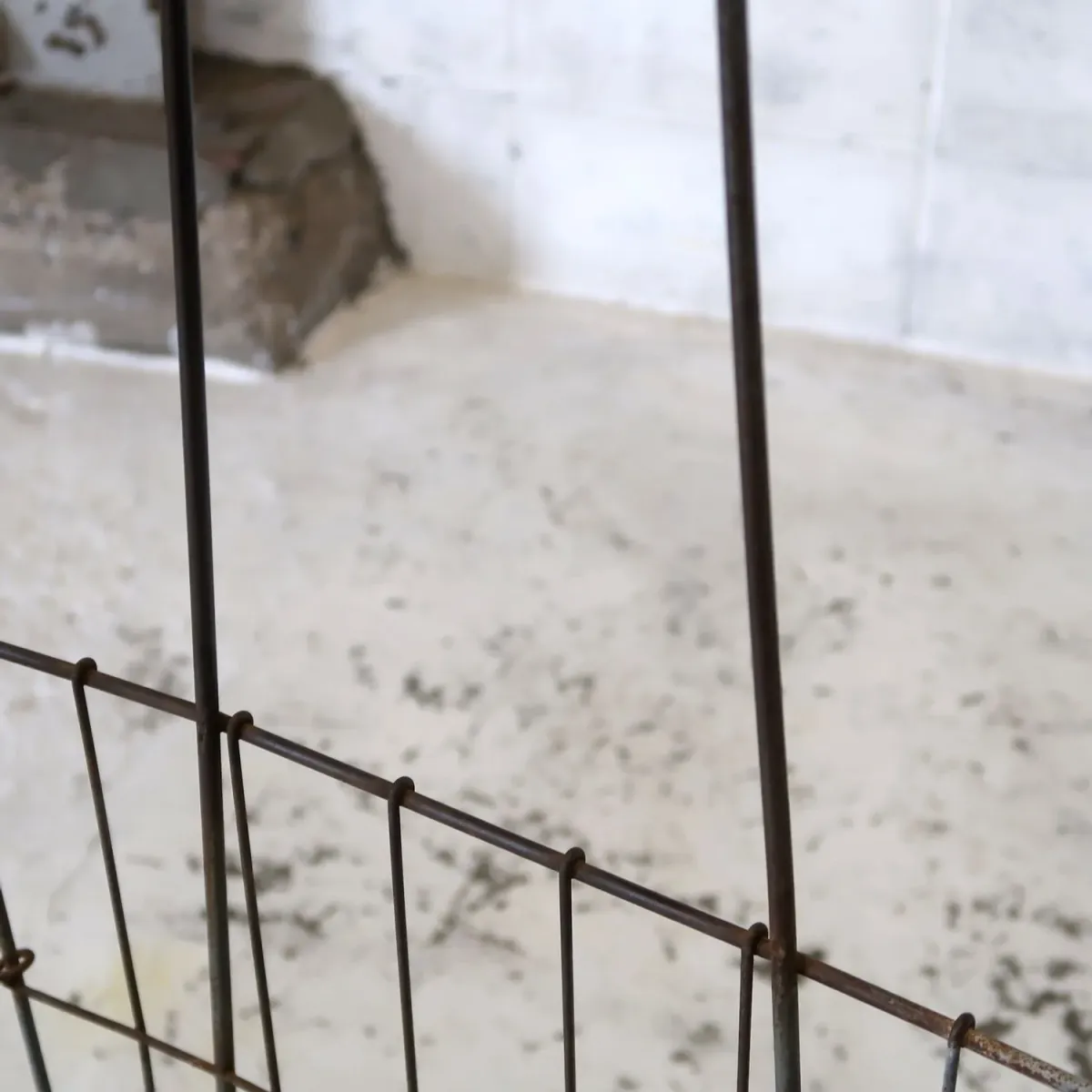 ビンテージ ワイヤーメタル ショッピングカート